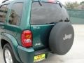 2004 Timberline Green Pearl Jeep Liberty Limited  photo #20