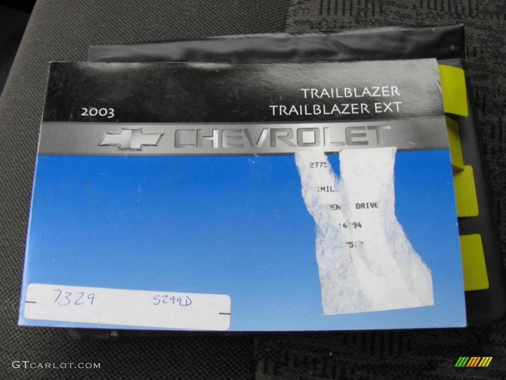 2003 TrailBlazer LS 4x4 - Summit White / Medium Pewter photo #4