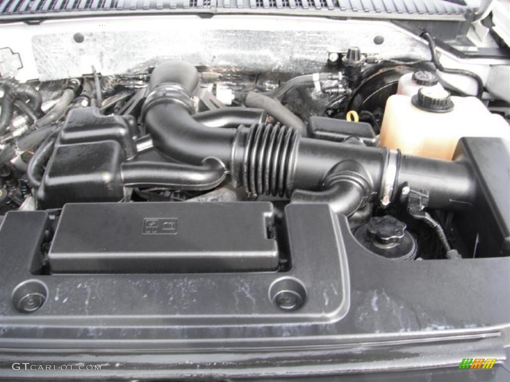 2008 Ford Expedition King Ranch 4x4 5.4 Liter SOHC 24-Valve Triton V8 Engine Photo #46821189