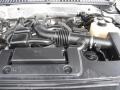  2008 Expedition King Ranch 4x4 5.4 Liter SOHC 24-Valve Triton V8 Engine
