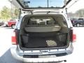 Titanium Metallic - 4Runner SR5 Photo No. 15