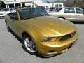 Sunset Gold Metallic 2010 Ford Mustang V6 Convertible Exterior