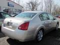 Champagne Mist Metallic - Maxima 3.5 SL Photo No. 18