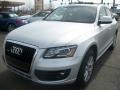 Ice Silver Metallic 2009 Audi Q5 3.2 Premium quattro Exterior