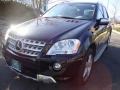 Black - ML 350 4Matic Photo No. 1