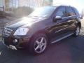 Black - ML 350 4Matic Photo No. 2