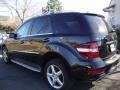 Black - ML 350 4Matic Photo No. 3