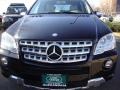 Black - ML 350 4Matic Photo No. 10