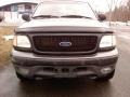 Black Clearcoat - Expedition XLT 4x4 Photo No. 2