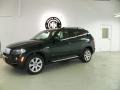 2007 Deep Green Metallic BMW X5 4.8i  photo #4