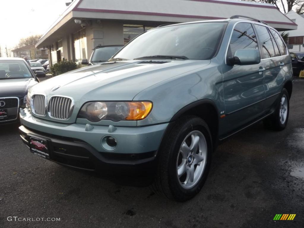 Gray Green Metallic 2002 BMW X5 4.4i Exterior Photo #46839564