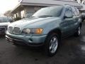 Gray Green Metallic 2002 BMW X5 4.4i Exterior