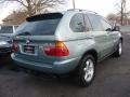 Gray Green Metallic - X5 4.4i Photo No. 3