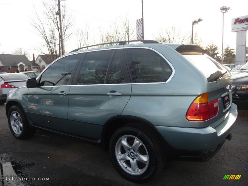 Gray Green Metallic 2002 BMW X5 4.4i Exterior Photo #46839609