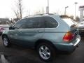 2002 X5 4.4i Gray Green Metallic