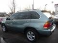 Gray Green Metallic 2002 BMW X5 4.4i Exterior