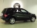 Black - ML 350 4Matic Photo No. 5