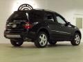Black - ML 350 4Matic Photo No. 6
