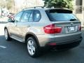 Platinum Bronze Metallic - X5 xDrive30i Photo No. 7