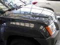 Night Armor Pearl - Xterra Off Road 4x4 Photo No. 13