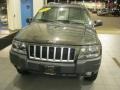 2004 Graphite Metallic Jeep Grand Cherokee Laredo 4x4  photo #5