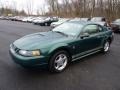 2002 Tropic Green Metallic Ford Mustang V6 Coupe  photo #3