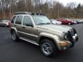 Light Khaki Metallic 2004 Jeep Liberty Renegade 4x4 Exterior