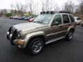 Light Khaki Metallic - Liberty Renegade 4x4 Photo No. 3