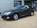 Truffle Brown Mica - ES 350 Photo No. 2
