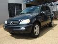 2003 Everest Green Metallic Mercedes-Benz ML 350 4Matic  photo #1