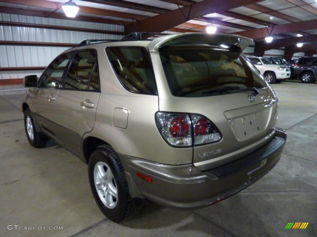 2003 RX 300 AWD - Burnished Gold Metallic / Ivory photo #2