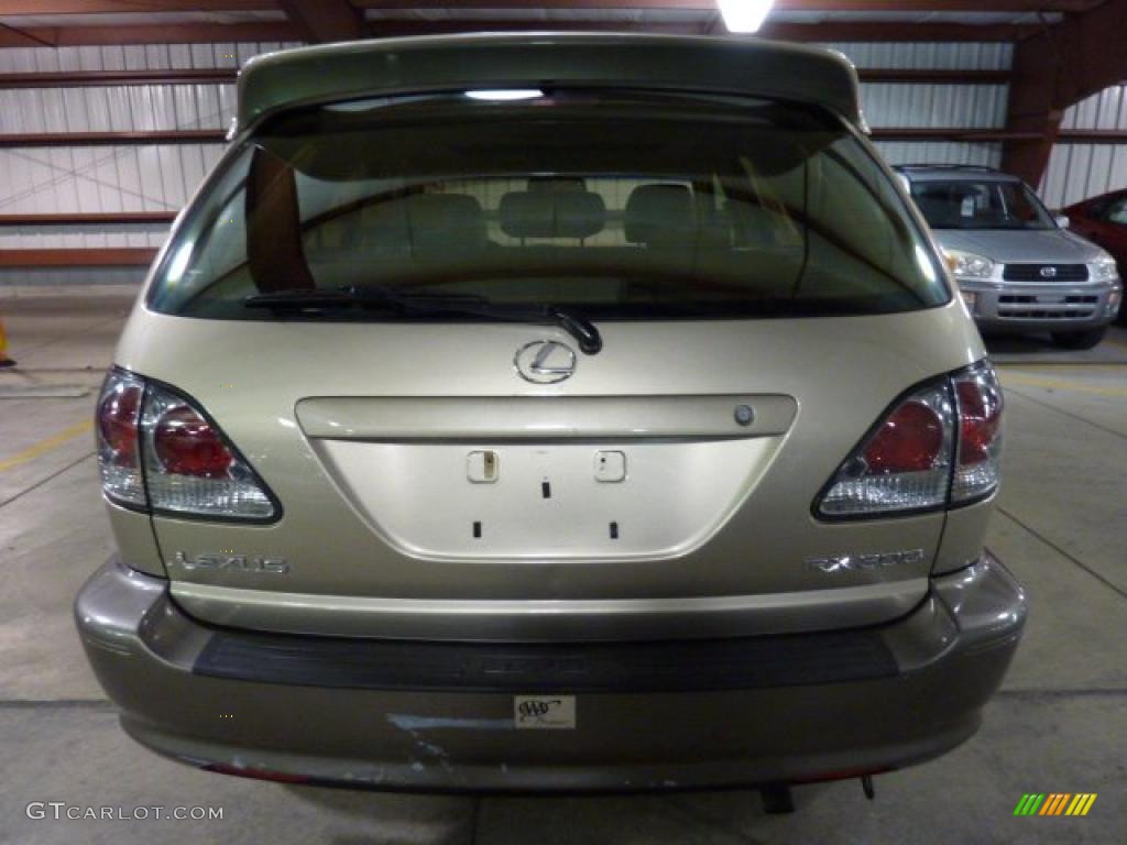 2003 RX 300 AWD - Burnished Gold Metallic / Ivory photo #3