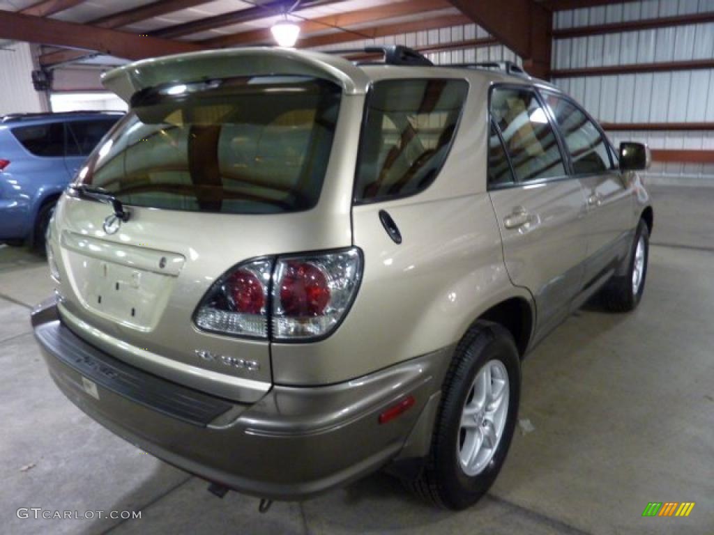 2003 RX 300 AWD - Burnished Gold Metallic / Ivory photo #4