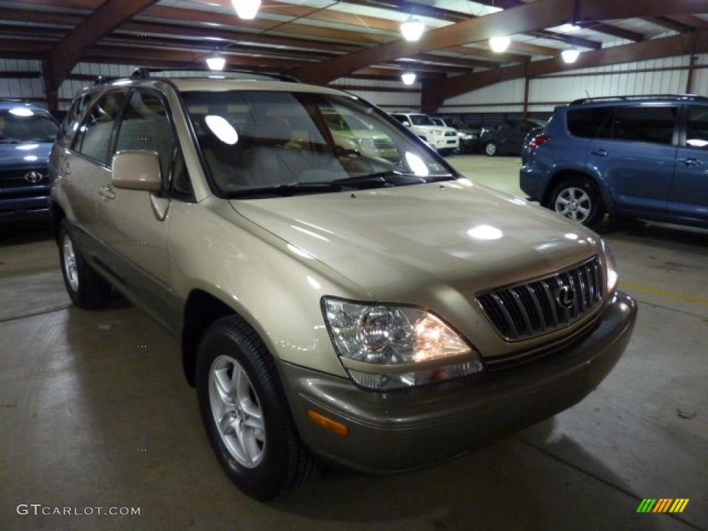 2003 RX 300 AWD - Burnished Gold Metallic / Ivory photo #6