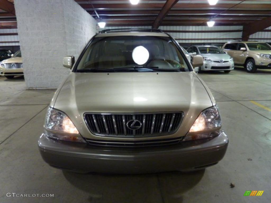 2003 RX 300 AWD - Burnished Gold Metallic / Ivory photo #11