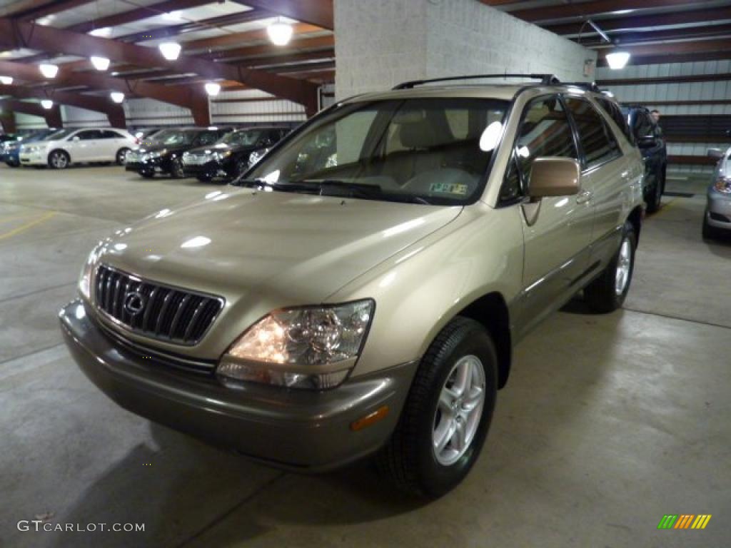 2003 RX 300 AWD - Burnished Gold Metallic / Ivory photo #12
