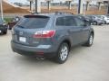 Dolphin Gray Mica - CX-9 Sport Photo No. 5