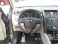 Dolphin Gray Mica - CX-9 Sport Photo No. 10