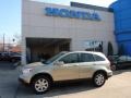 Borrego Beige Metallic - CR-V EX-L 4WD Photo No. 1