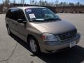 2004 Arizona Beige Metallic Ford Freestar SE  photo #5