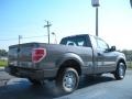 2011 Sterling Grey Metallic Ford F150 XL Regular Cab  photo #3