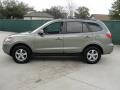 Natural Khaki Green - Santa Fe GLS Photo No. 6