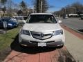 Aspen White Pearl - MDX Technology Photo No. 2