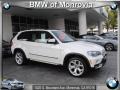Alpine White - X5 4.8i Photo No. 1