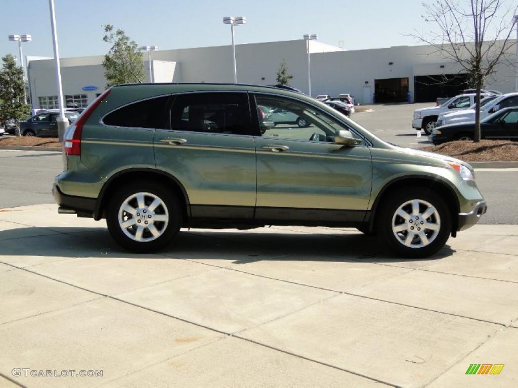 2008 CR-V EX-L 4WD - Green Tea Metallic / Ivory photo #4