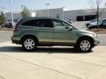 2008 Green Tea Metallic Honda CR-V EX-L 4WD  photo #4