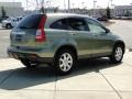 2008 Green Tea Metallic Honda CR-V EX-L 4WD  photo #5