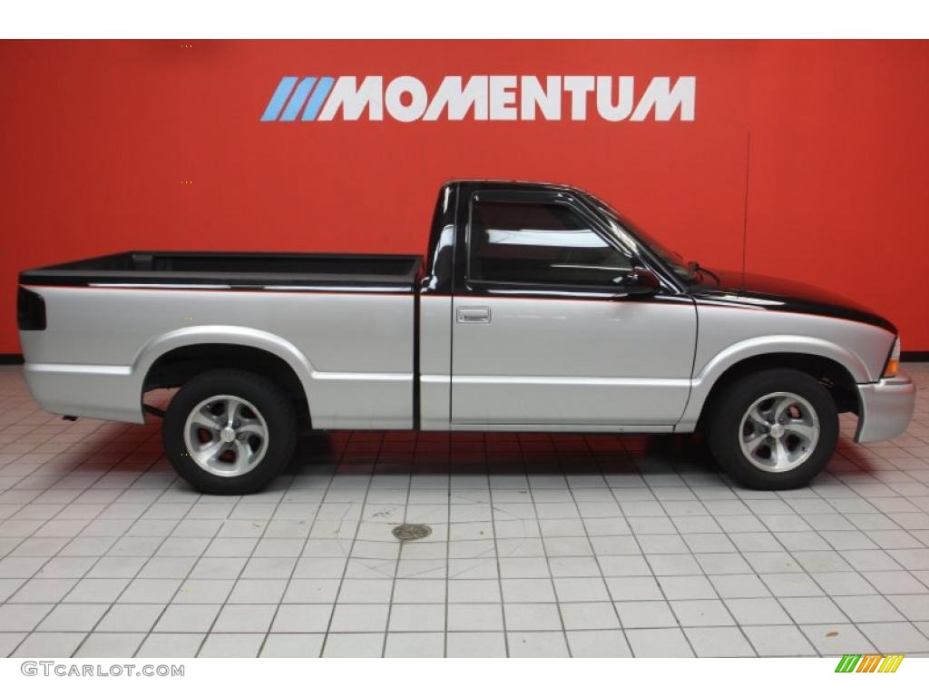 1999 S10 Regular Cab - Light Pewter Metallic / Graphite photo #4