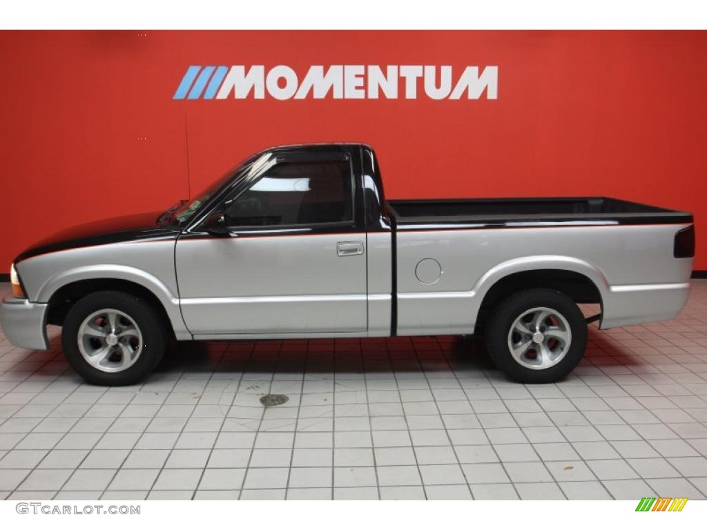 1999 S10 Regular Cab - Light Pewter Metallic / Graphite photo #13