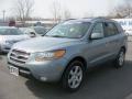 2008 Platinum Sage Hyundai Santa Fe Limited 4WD  photo #1